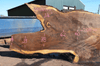 Oregon Black Walnut Slab 041321-01 Sauvie