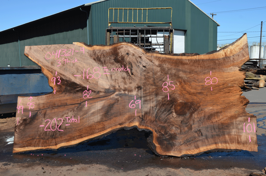 Oregon Black Walnut Slab 041321-04 Sauvie