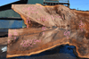 Oregon Black Walnut Slab 041321-04 Sauvie