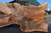Oregon Black Walnut Slab 041321-04 Sauvie