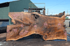 Oregon Black Walnut Slab 041321-05 Sauvie