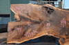 Oregon Black Walnut Slab 041321-05 Sauvie