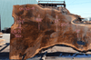 Oregon Black Walnut Slab 041321-08 Sauvie