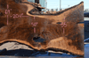 Oregon Black Walnut Slab 041321-08 Sauvie