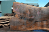 Oregon Black Walnut Slab 041321-10 Sauvie