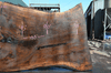 Oregon Black Walnut Slab 041321-10 Sauvie
