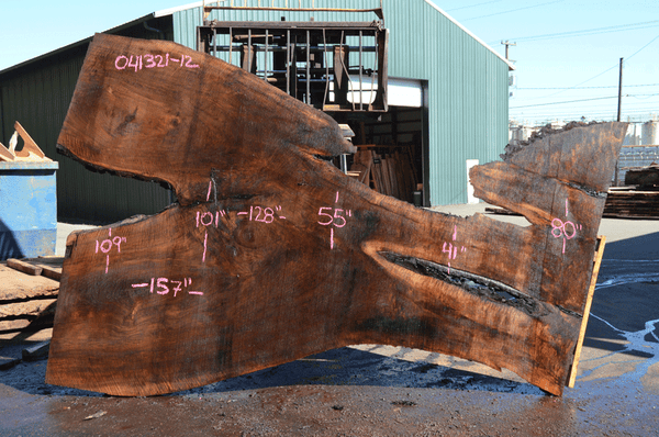 Oregon Black Walnut Slab 041321-12 Sauvie
