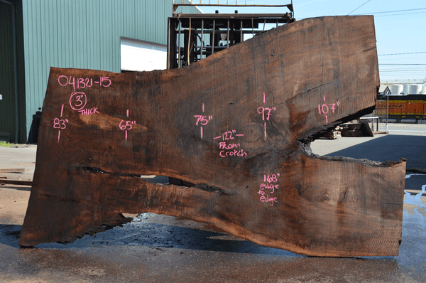 Oregon Black Walnut Slab 041321-15 Sauvie
