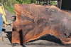 Oregon Black Walnut Slab 041321-17 Sauvie