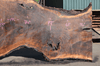 Oregon Black Walnut Slab 041321-17 Sauvie