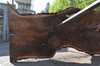 Oregon Black Walnut Slab 041321-17 Sauvie