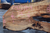 Big Leaf Maple Slab 042219-04
