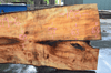 Big Leaf Maple Slab 042219-06