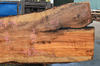 Big Leaf Maple Slab 042219-08
