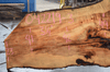 Big Leaf Maple Slab 042219-03
