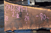 Oregon Black Walnut Slab 042319-01
