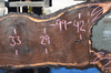 Oregon Black Walnut Slab 042319-02