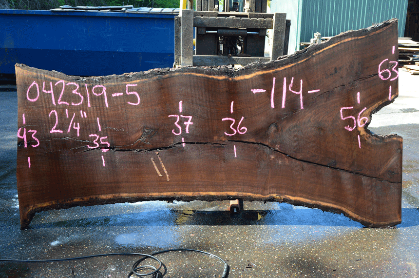 Oregon Black Walnut Slab 042319-05