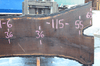 Oregon Black Walnut Slab 042319-06