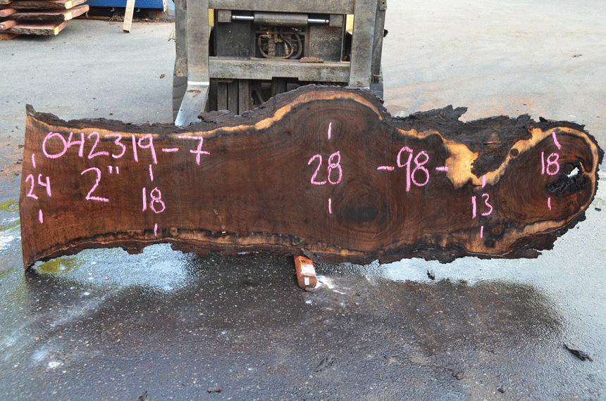 Oregon Black Walnut Slab 042319-07