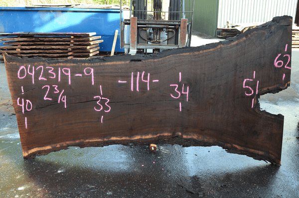Oregon Black Walnut Slab 042319-09