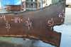 Oregon Black Walnut Slab 042319-09