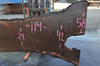 Oregon Black Walnut Slab 042319-10