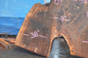 Oregon Black Walnut Slab 052821-2 Sauvie