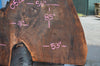 Oregon Black Walnut Slab 052821-2 Sauvie