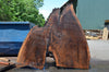 Oregon Black Walnut Slab 052821-3 Sauvie