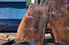 Oregon Black Walnut Slab 052821-3 Sauvie