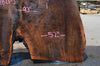 Oregon Black Walnut Slab 052821-3 Sauvie