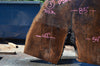 Oregon Black Walnut Slab 052821-4 Sauvie