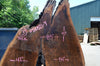 Oregon Black Walnut Slab 052821-4 Sauvie