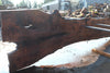 Oregon Black Walnut Slab 080124-01