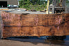 Oregon Black Walnut Slab 080124-01
