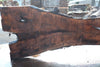 Oregon Black Walnut Slab 080124-02