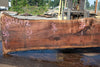 Oregon Black Walnut Slab 080124-02