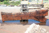 Oregon Black Walnut Slab 080124-03
