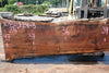Oregon Black Walnut Slab 080124-03