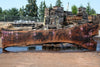 Oregon Black Walnut Slab 080124-04