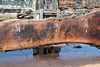 Oregon Black Walnut Slab 080124-04