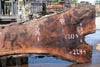 Oregon Black Walnut Slab 080124-04
