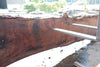 Oregon Black Walnut Slab 080124-05