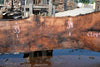 Oregon Black Walnut Slab 080124-05