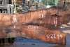 Oregon Black Walnut Slab 080124-05