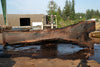 Oregon Black Walnut Slab 080124-07