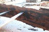 Oregon Black Walnut Slab 080124-07