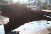 Oregon Black Walnut Slab 080124-07