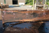 Oregon Black Walnut Slab 080124-07